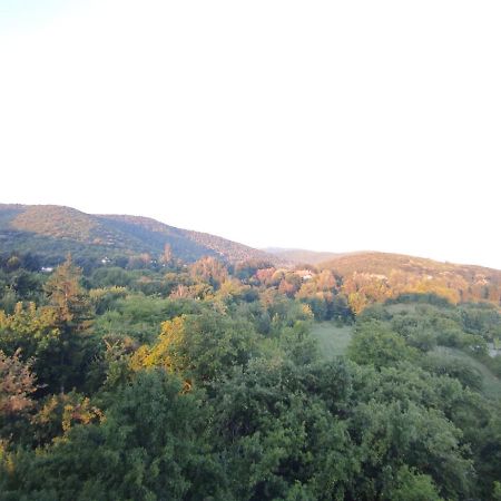 Sky Apartman Sokobanja Extérieur photo