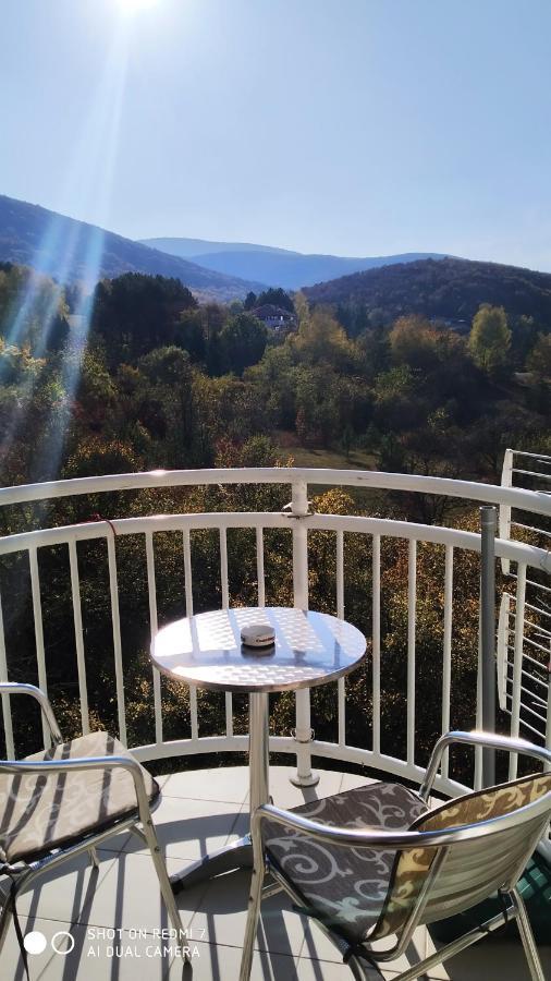 Sky Apartman Sokobanja Extérieur photo