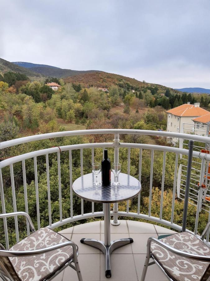 Sky Apartman Sokobanja Extérieur photo