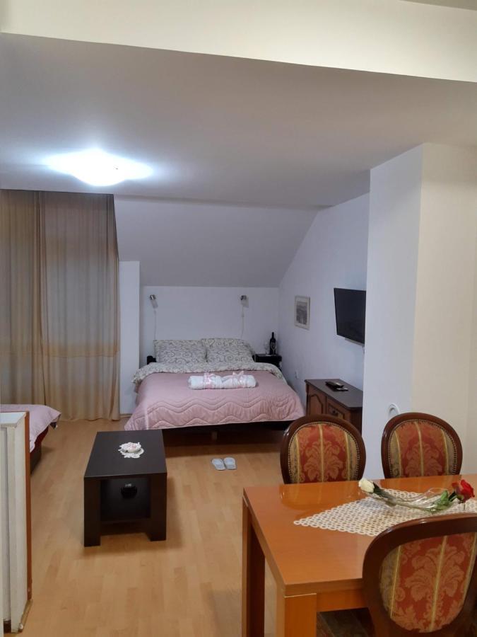 Sky Apartman Sokobanja Extérieur photo
