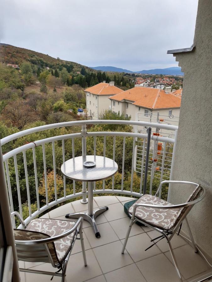 Sky Apartman Sokobanja Extérieur photo