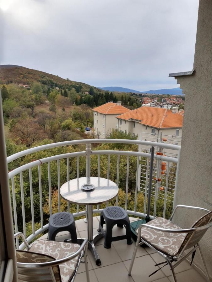Sky Apartman Sokobanja Extérieur photo