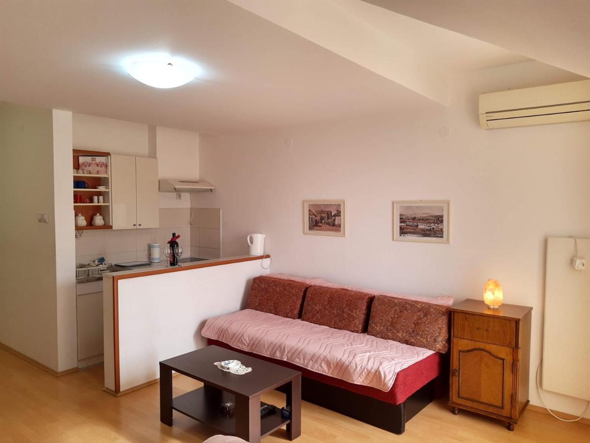 Sky Apartman Sokobanja Extérieur photo