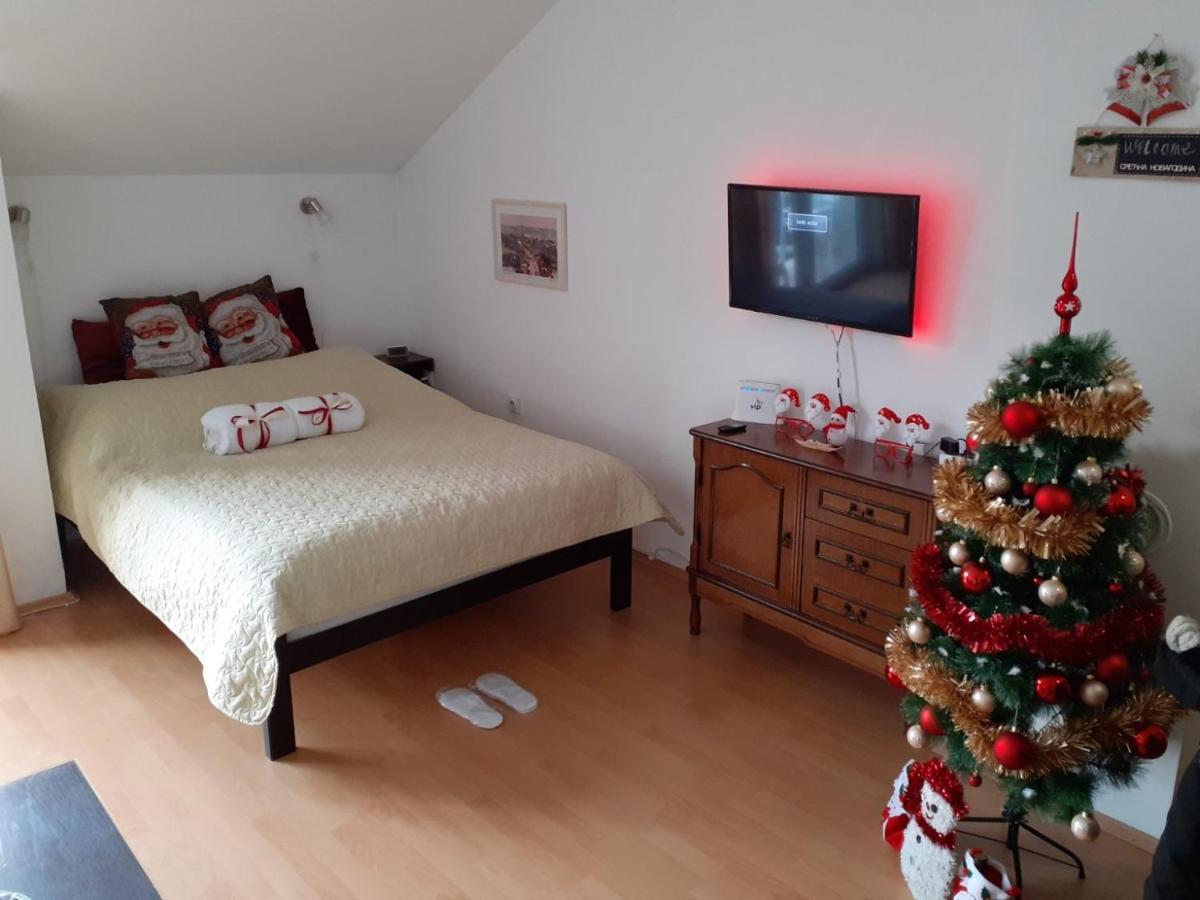 Sky Apartman Sokobanja Extérieur photo